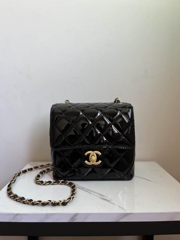 Chanel Handbags 210